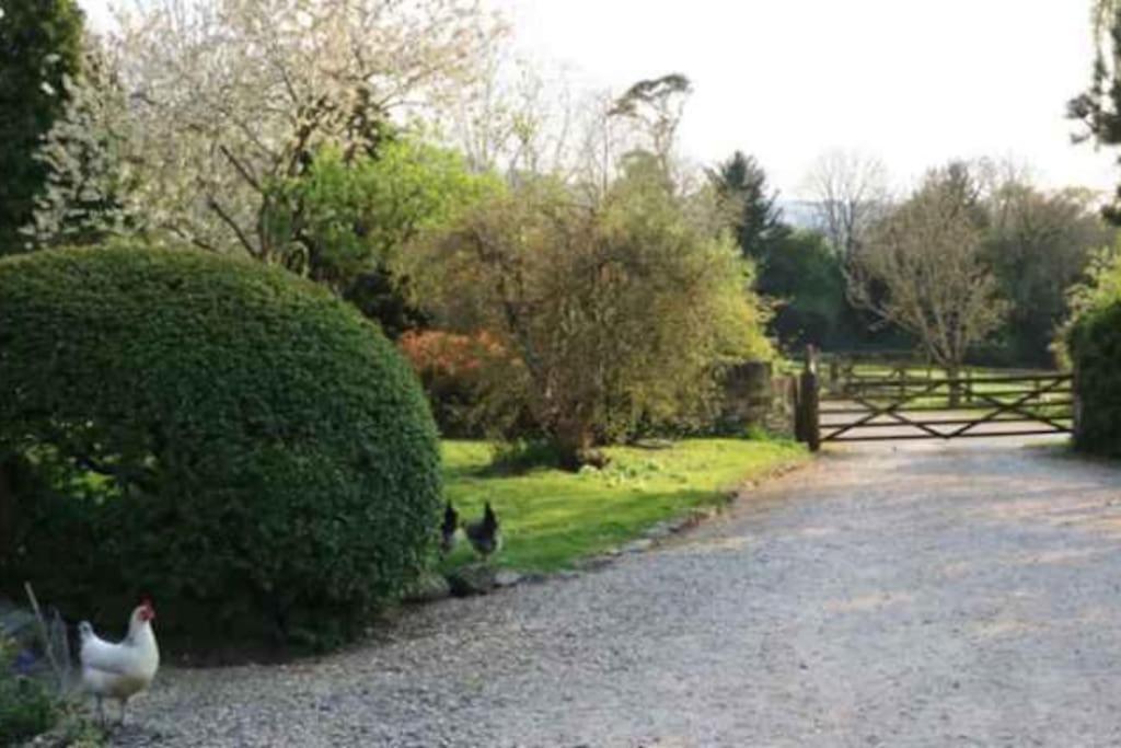 Stunning Stone Cottage On Bath'S Doorstep Box  Luaran gambar